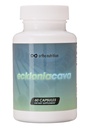 Ecklonia Cava Extract - 99% Renhed - 50% Polyphenoler - 320mg per daglig servering, 60 kapsler