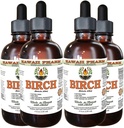 Birch Alkohol- Free Liquid Extract, Birch (Betula Alba) Tørret Bark Glycerite Hawaii Pharm Natural Herbal Supplement 4x4 oz