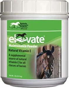 Kentucky Performance Prod 044097 Elevate Maintenance Powder supplement for heste, 2 LB