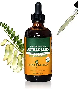 Herb Pharm Certified Organic Astragalus Liquid Extract for Immunsystemet Support - 4 Ounce