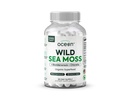 Organiske Ocean Wild Sea Moss Kapsler - 100% Organic Irish Sea Moss med Organic Chlorella, Bladderwrack og D-vitamin til energi, Lung Sundhed og Thyreoidea Støtte til kvinder og mænd - 60 Kapsler