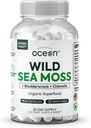 Organiske Ocean Wild Sea Moss Kapsler - 100% Organic Irish Sea Moss med Organic Chlorella, Bladderwrack og D-vitamin til energi, Lung Sundhed og Thyreoidea Støtte til kvinder og mænd - 60 Kapsler