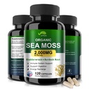 Organic Sea Moss Kapsler med Bladderwrack, Burdock Root og Black Pepper Ekstract- Irish SeaMoss Pills 2000mg- Promoes immunsystem, Thyroid Support (120 Kapsler)
