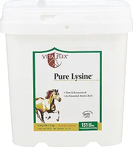 Vita Flex Pure Lysine, 151 Day Supply, 4 lbs