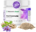 YouthSpark Longevity Supplement med Ashwagandha Root Extract (600mg), Astragalus & kanel - Fruit Flavor Powder, 30 Servere, Vegan, Non- GMO