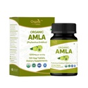 Amla 120 tabletter - USDA Økologisk indisk Gooseberry - Rich in C-vitamin & støtter immunforsvar *