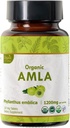 Amla 120 tabletter - USDA Økologisk indisk Gooseberry - Rich in C-vitamin & støtter immunforsvar *