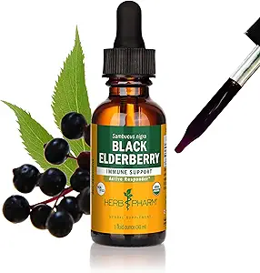 Herb Pharm Certified Organic Black Elderberry Liquid Extract for Immunsystemet Support, Organic Cane Alkohol, 1 Oz