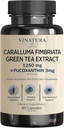 VINATURA Caralluma Fimbriata, EGCG 45% Extract 1250mg + Fucoxanthin 3mg per servering * USA Made & Tested * for immunforsvar, energi og mental fokus - 60 kapsler 30 Servere