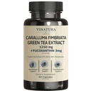 VINATURA Caralluma Fimbriata, EGCG 45% Extract 1250mg + Fucoxanthin 3mg per servering * USA Made & Tested * for immunforsvar, energi og mental fokus - 60 kapsler 30 Servere