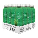 Chlorophyll Vand - Flydende Chlorophyll 12- Pack (16.9oz) Beeg 124; vitamin A, B12, C, D Beeg 124; Detox Rengøring, alkaline vand, energi Boost Budding 124; Vitamin Vand Budding 124; Plante-baseret
