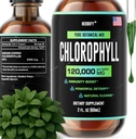 HERBIFY Chlorophyll Drops - Liquid Chlorophyll for Energy Boost & Immunsystem Support - Lavet i USA - Chlorophyll Liquid Drops til Body Detox, Intern Deodorant & Enhance Skin - 2 Oz