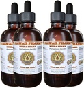 Muira Puama Liquid Extract, Organic Muira Puama (Ptychopetalum Olacoides) Tinktur Supplement 4x4 oz