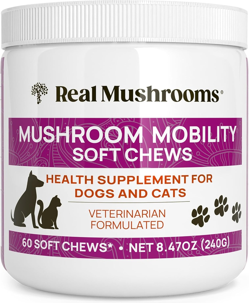 Rigtige svampe Mobility Chews for Dogs & Cats - Green Lipped Mussel & ErgoGold Mushroom Blend - Hunde & Kat Vitaminer Treatings for Aktive Routines - Fælles, Hip & Fleksibilitet Support - 240 ct Supplement