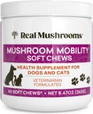 Rigtige svampe Mobility Chews for Dogs & Cats - Green Lipped Mussel & ErgoGold Mushroom Blend - Hunde & Kat Vitaminer Treatings for Aktive Routines - Fælles, Hip & Fleksibilitet Support - 240 ct Supplement