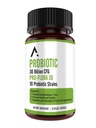 Ascendant Nutrition Bacillus Subtilis Probiotic - 30 milliarder CFU Multi- Strain Probiotika til kvinder og mænd - Understøtter fordøjelse og Gut sundhed - 30 kapsler
