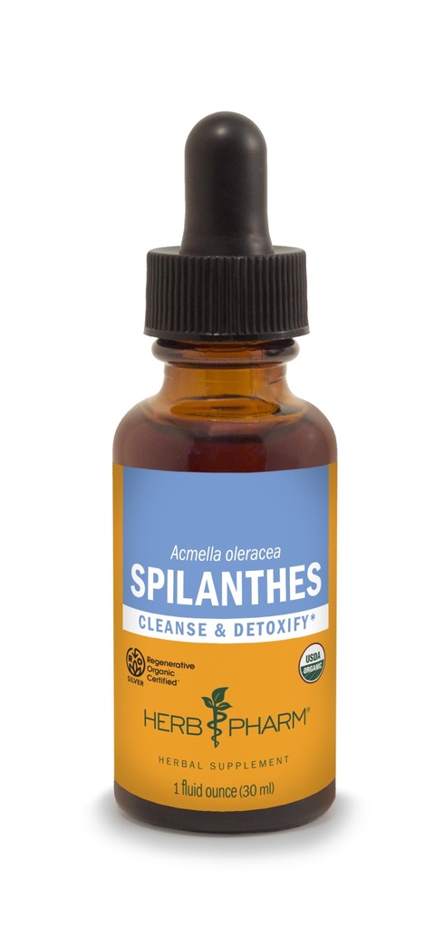 Herb Pharm Certified Organic Spilanthes Liquid Extract til rensning og afgiftning - 1 Ounce