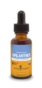 Herb Pharm Certified Organic Spilanthes Liquid Extract til rensning og afgiftning - 1 Ounce