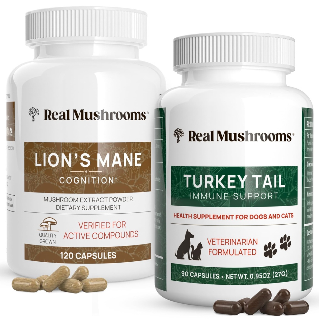 Rigtige svampe Lions Mane for mennesker (120ct) & Tyrkiet Hale for kæledyr (90ct) - Bundle for kognition og immunitet - Vegan, ikke-GMO, Grain- Free, Gluten- Free Mushroom Udtræk Kapsler