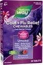 Nature 's Way Cold + Flu Relief, Umcka, Shortens Varighed og Reducerer Severity, Multi- symptom Relief, Homøopatisk, Phenylephrine Gratis, Non- Drowsy, Berry Flavored, 20 tyggetabletter (Packaging May Vary)