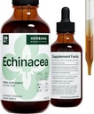 Echinacea 4 fl oz Liquid Extract - Organic Root, Leaf, Flower, Seed - Natural Herbal Supplement - Krop, Immunsystemet Support Tinktur - High Potency Drops - 90- Day Supply - Familie størrelse