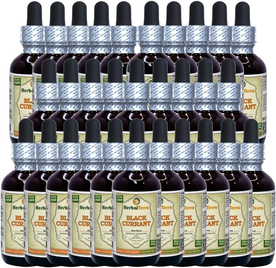 Black Currant (Ribes nigrum) Tincture, Dried Leaves Liquid Extract (Brand Name: HerbalTerra, Proudly Made in USA) 30x2 fl.oz (30x60 ml)