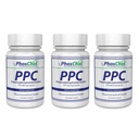 Nutrasal PhosChol PPC Polyenyl PhosphatidylCholin Cholin Supplement 900mg 300 Gelatine Kapsler
