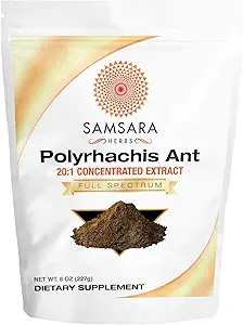 Samsara urter Polyrhachis Black Ant Extract Powder - 20: 1 Koncentreret ekstrakt (8oz / 227g)