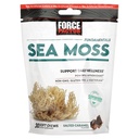 Force Factor Sea Moss Chews a Daily Wellness & Antioxidant Support a Saltet Caramel (30 Soft Chews)