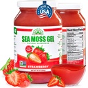 Wildlavet Irish Sea Moss Gel MSD 124; Lavet i USA MSD 124; Rich in Vitamin & Minerals