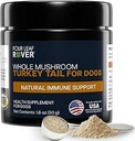 Tyrkiet Tail Mushroom for Hunde - Hel, Økologisk Mushroom Uddrag - Over 50% Beta- Glucan - Tredjeparts testet, Lavet i USA - Ingen korn ingen Fyldere - 60 dag Stor hund Tilgang