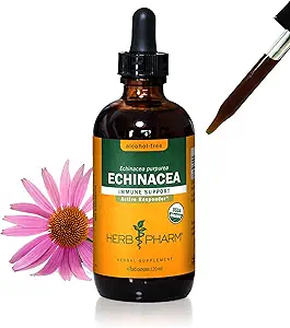 Herb Pharm Certified Organic Echinacea Root Liquid Extract for Immunsystem Support, Alkohol- Free Glycerit, 4 Ounce