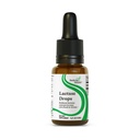 Søg Health Lactase Drops - Flydende tillæg med Lactase Enzyme for Dairy Intolerance Support - Intolerance Support for fordøjelse - Lactase Enzyme Supplement - 0,50 Fl oz, 52 Servere