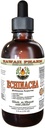 Echinacea Alkohol- Free Liquid Extract, Organic Echinacea (Echinacea Purpurea) Tørret Herb Glycerite Hawaii Pharm Natural Herbal Supplement 4 oz