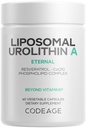 Codeage Liposomal Urolithin A Supplement 500mg Per Serving + Resveratrol, Betaine, CoQ10, Ellagitannins - A New Frontier Beyond NADH, NMN, NAD, NR, og PQQ Vitaminer - Bioavailable - 60 Kapsler
