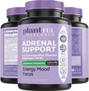 Adrenal Support & Cortisol Manager Supplement • Ultra High Renhed Adaptogens, Ashwagandha Extract, Rhodiola Rosea Capsules for Natural Energy, Træthed, Mood Boost Ikke GMO