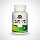 Memory Muscle - Advanced Nootrop Brain Supplement med vitamin B12, Bacopa Monnieri & DMAE for Focus, Memory, Mental Clarity & Clean Energy - Premium Kognitiv Support Formel