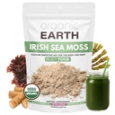 Organic Earth Irish Sea Moss Powder 8oz - Wildcrafted Sea Moss Organic med Bladerwrack & Burdock Root Powder - Thyroid, fordøjelsesstøtte & sund hud - USDA Certificeret Organisk