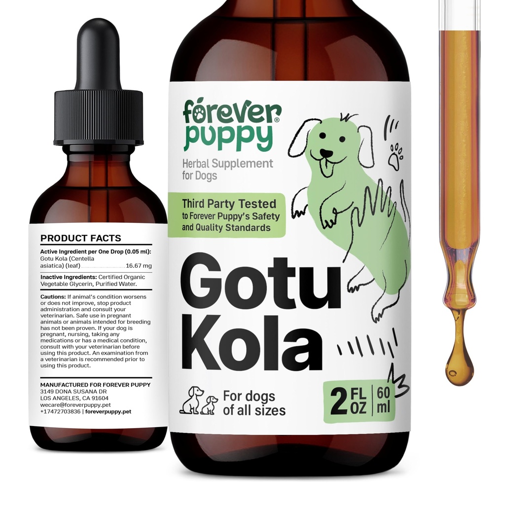 Forever Puppy Gotu Kola Drops til hunde - Centella Asiatica & Gotu Kola Extract for Brain Health Support - Flydende hjerne supplement til hunde af alle racer & størrelser - 2 oz