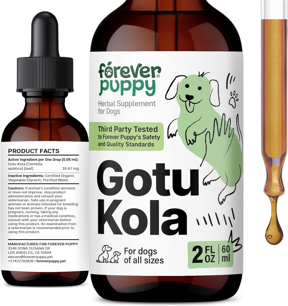 Forever Puppy Gotu Kola Drops til hunde - Centella Asiatica & Gotu Kola Extract for Brain Health Support - Flydende hjerne supplement til hunde af alle racer & størrelser - 2 oz