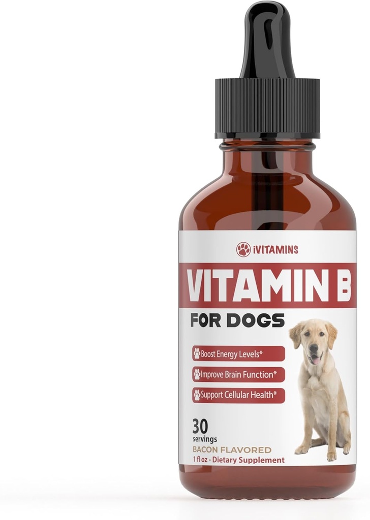 B-vitamin til hunde 124; B-vitamin-kompleks til hunde 124; B12-vitamin til hunde 124; B12-vitaminer til hunde 124; B12-vitaminer til hunde 124; B-vitamin-tillæg til hunde 124; B-kompleks til hunde 124; B12-vitamin til hunde 124; Do1 fl oz: Bacon Flavor