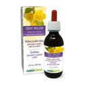 Naturalma Great Mullein eller Common Mullein (Verbascum thapsus) Flower and Leaf Alkohol- Free Tincture - 4 fl oz Liquid Extract in Drops - Herbal Supplement - Vegan