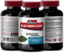 Pure Herbal Supplement - Klamath Blue Green Algae 500mg - Øge energiniveauer, Forbedre fordøjelse og forbedre immunsystemet, spirulina, chlorella, Klamath Blue Green Algae Powder - 1B 60 Kapsler