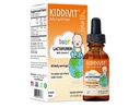 Kiddivit Baby Lactoferrin Liquid Drops - Gentle immunsupport Supplement - 100mg Formel med Prebiotic Inulin - 60 daglige servicer - Sukker fri, Gluten fri, Vegetarisk, 2oz