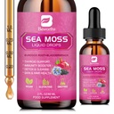 Sea Moss Liquid Drops - Organic Black Seed Oil Irish Sea Moss Gel med Burdock Root, Bladderwrack, Elderberry, C-vitamin, D3, 6X Stærkere Seamoss Gel til fordøjelse, Hårsundhed - Vegan