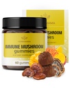 HERBAMAMA immunsupport Mushroom Gummies - Multi Mushroom Blend Complex for Antioxidant Support - Vegan, Non- GMO Immunity Supplement - 60 Pectin- baserede Mango- Flavored Chews