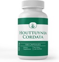 Pure Original Ingredienser Houttuynia Cordata, (100 kapsler) Altid Pure, Ingen tilsætningsstoffer eller Fillers, Lab Verified