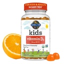 Have of Life Kids Organic Vitamin D3 Gummies med 800 IE (100% daglig værdi) for stærke knogler, tænder, hjerne & immunitet - non-GMO, No Gluten, Vegetar, Sugar Free, Orange Flavor, 60 Servering