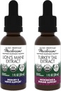 Host Defense Bundle med Lions Mane Extract, 1 fl oz & Turkey Tail Extract, 1 fl oz - Support Brain Health, Memory & Focus - Support fordøjelig sundhed & immunrespons *