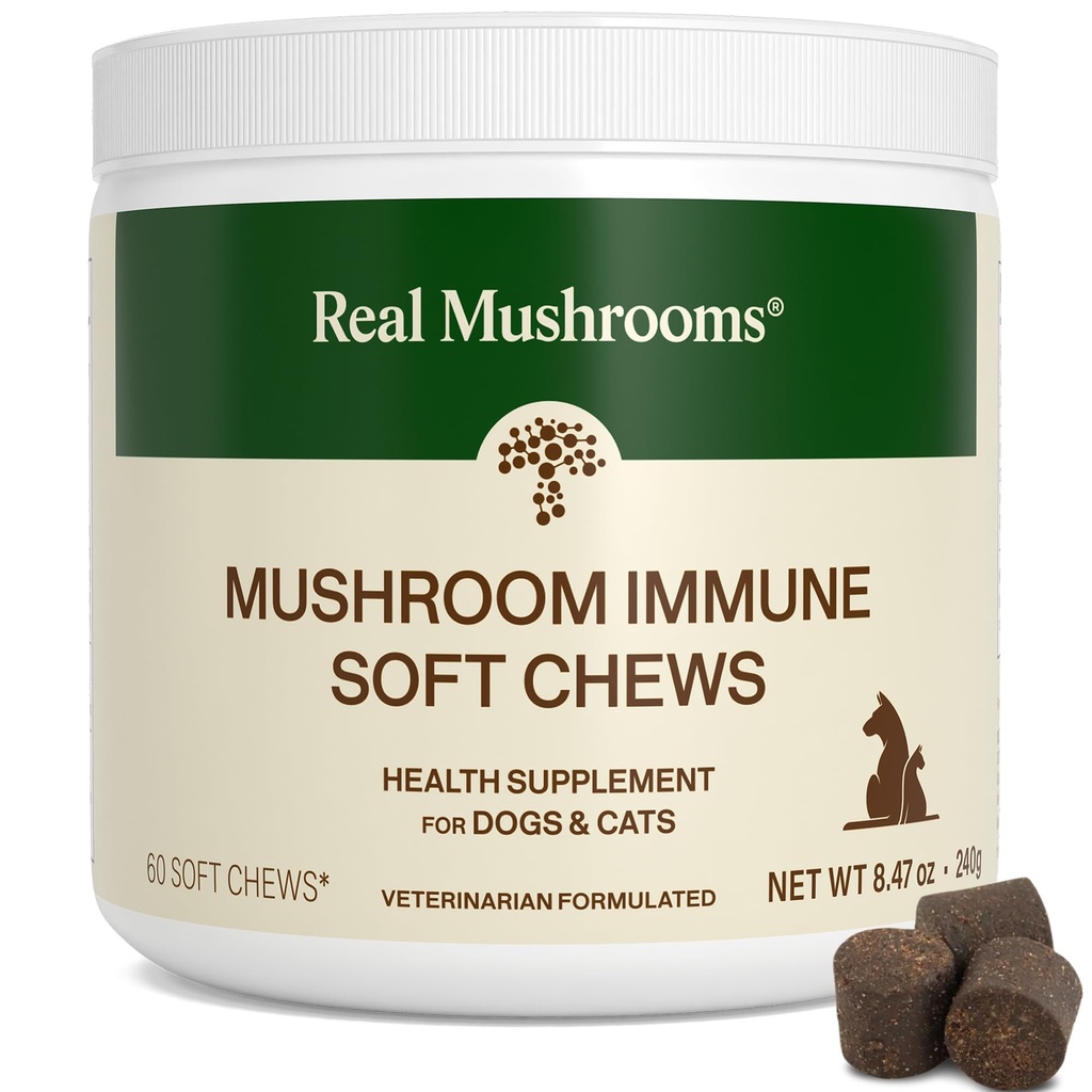 Real Mushroom Immunpet Chews - For daglig fordøjelse & immunsundhed - Svampe til hunde & katte Funktionel Treat - Mushroom supplement til hunde & katte - 1 til 4 tygger til alle racer og størrelser (60 Greve)